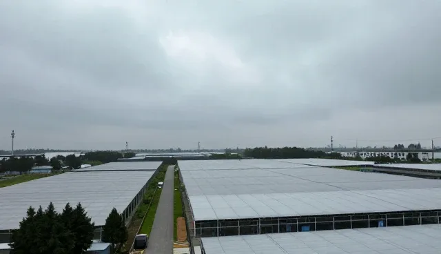 流程优化方案在合规管理中的具体应用建议